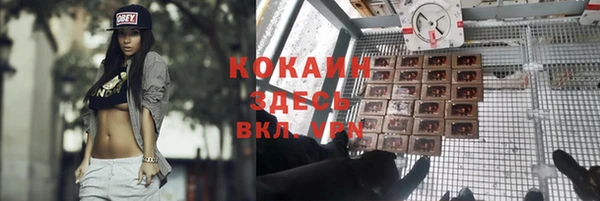 мет Каменногорск