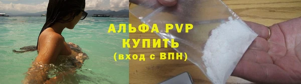 соль ск Каменка