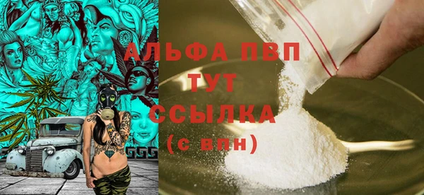 соль ск Каменка