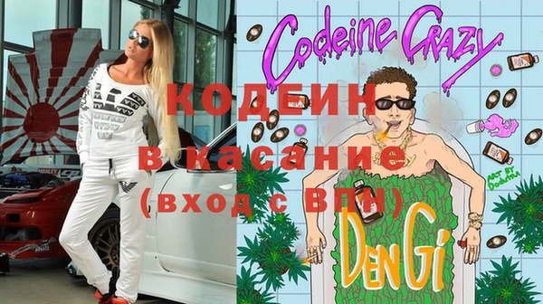 соль ск Каменка