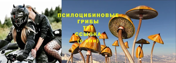 мет Каменногорск