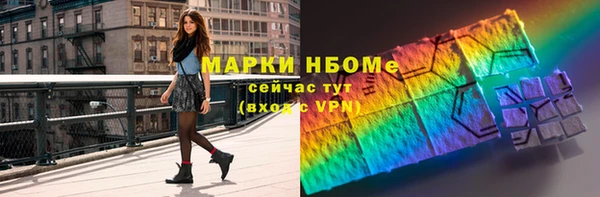 соль ск Каменка