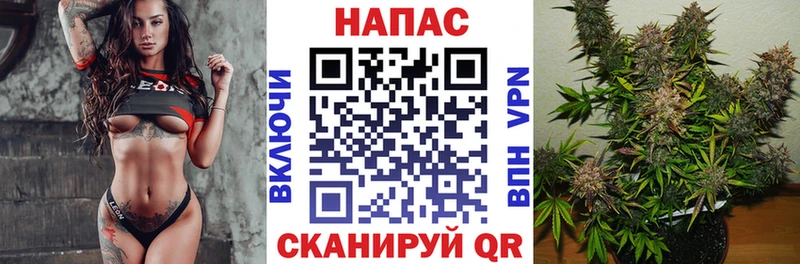Бошки марихуана THC 21%  Кореновск 